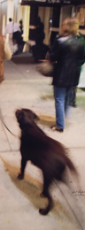 diver_giduno006.jpg