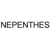 NEPENTHES